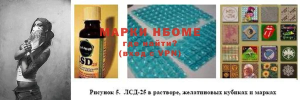 дурь Няндома