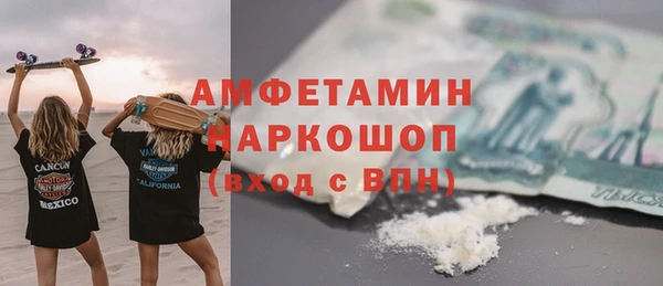 дурь Няндома