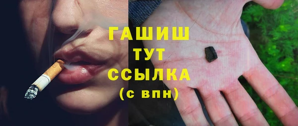 дурь Няндома