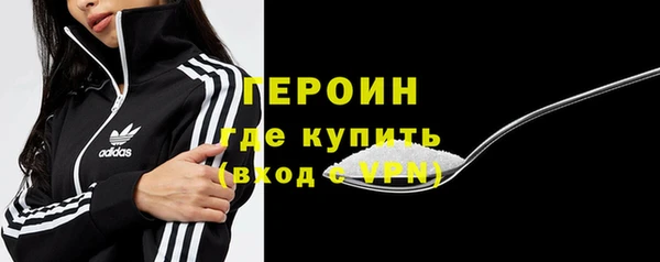 дурь Няндома