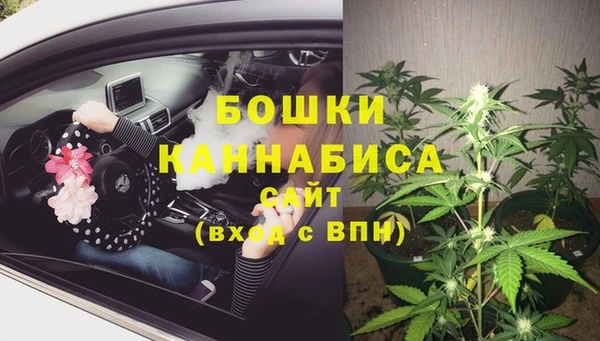 дживик Новокубанск