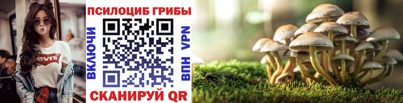 Галлюциногенные грибы ЛСД Купить где Краснознаменск